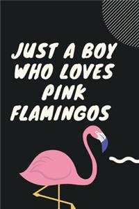 Loves Flamingos