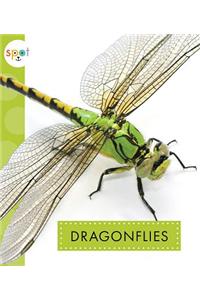 Dragonflies