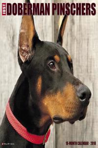 Just Dobermans 2018 Wall Calendar (Dog Breed Calendar)