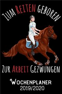 Zum Reiten geboren zur Arbeit gezwungen - Wochenplaner 2019 - 2020
