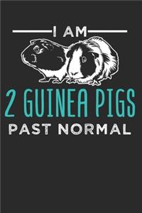 Meerschweinchen Notizbuch