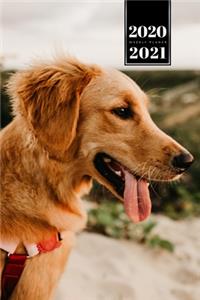 Golden Retriever Dog Calendar Week Planner 2020 / 2021 - Sunset