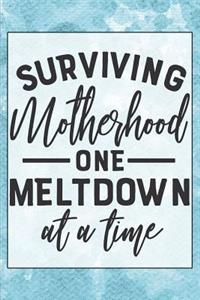 Surviving Motherhood One Meltdown at a Time