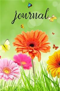 Journal