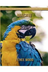 Macaw