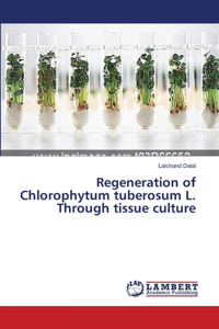 Regeneration of Chlorophytum tuberosum L. Through tissue culture