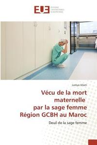 Vécu de la Mort Maternelle Par La Sage Femme Région Gcbh Au Maroc