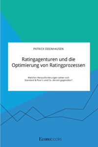 Ratingagenturen und die Optimierung von Ratingprozessen. Welchen Herausforderungen sehen sich Standard & Poor's und Co. derzeit gegenüber?