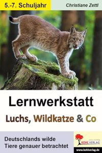 Lernwerkstatt Luchs, Wildkatze & Co: Deutschlands wilde Tiere genauer betrachtet