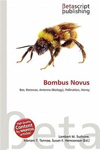 Bombus Novus