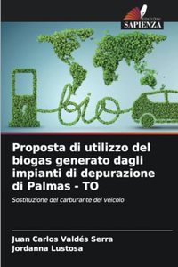 Proposta di utilizzo del biogas generato dagli impianti di depurazione di Palmas - TO