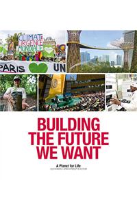 Building the Future We Want