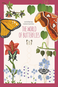 World of Butterflies