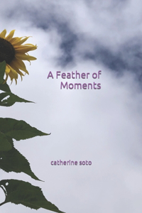 Feather of Moments