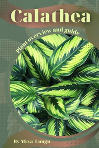 Calathea