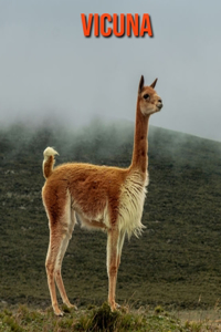 Vicuna