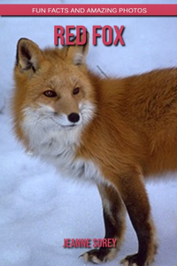 Red Fox