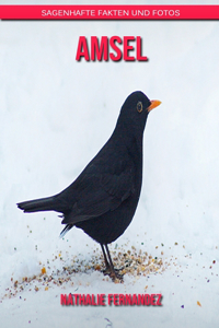 Amsel