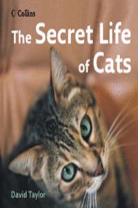 The Secret Life of Cats