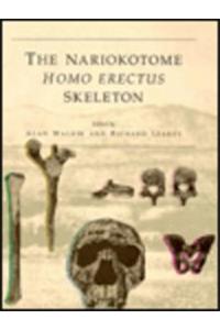 The Nariokotome Homo erectus Skeleton