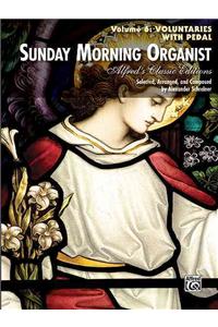Sunday Morning Organist, Volume 6