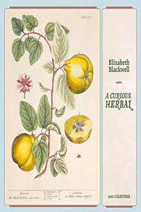 Elizabeth Blackwell a Curious Herbal 2021 Wall Calendar
