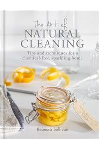 The Art of Natural Cleaning