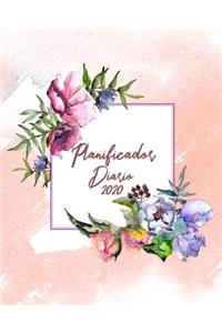 Planificador Diario 2020