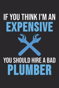 If You Think I'm An Expensive You Should Hire A Bad Plumber