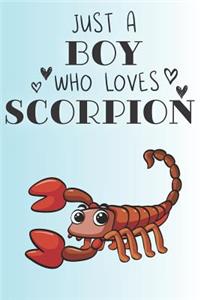 Just A Boy Who Loves Scorpions