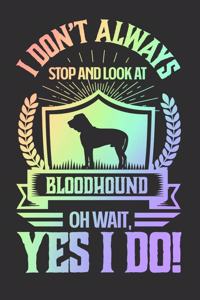 I Don't Always Stop and Look At Bloodhound OH Wait, Yes I Do!
