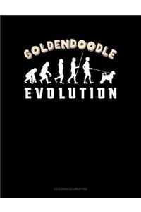 Goldendoodle Evolution
