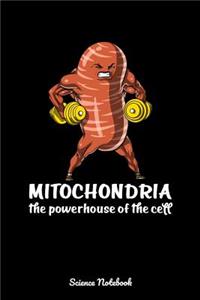Mitochondria The Powerhouse Of The Cell Science Notebook