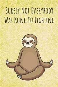 Surely Not Everybody Was Kung Fu Fighting
