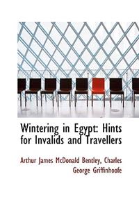 Wintering in Egypt