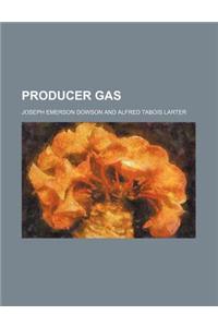 Producer Gas