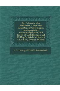 Die Cetaceen Oder Walthiere