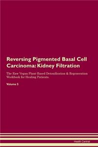 Reversing Pigmented Basal Cell Carcinoma: Kidney Filtration The Raw Vegan Plant-Based Detoxification & Regeneration Workbook for Healing Patients.Volume 5