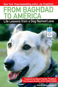 From Baghdad to America: Life Lessons from a Dog Named Lava