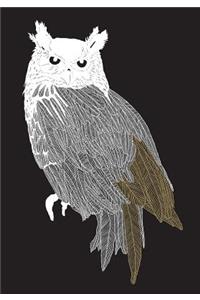 Brave Birds Notebook (Paperback)