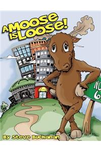 A Moose Is Loose!