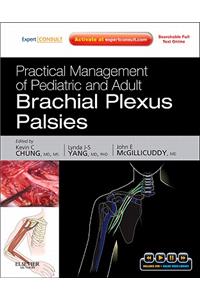 Practical Management of Pediatric and Adult Brachial Plexus Palsies