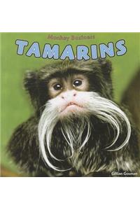 Tamarins