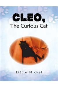 Cleo, the Curious Cat