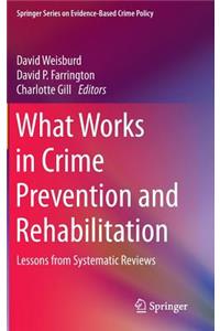 What Works in Crime Prevention and Rehabilitation