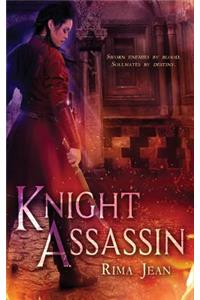 Knight Assassin