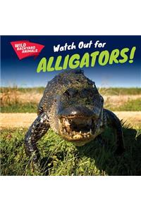Watch Out for Alligators!