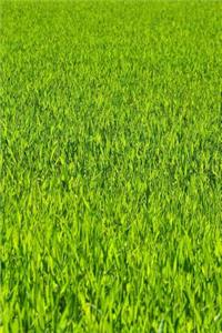 Watching the Grass Grow Journal
