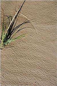 Sandy Beach Journal