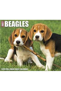 Just Beagles 2020 Box Calendar (Dog Breed Calendar)